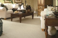 Carpet Family Room