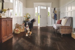 Armstrong-big-dog-pet-friendly-flooring