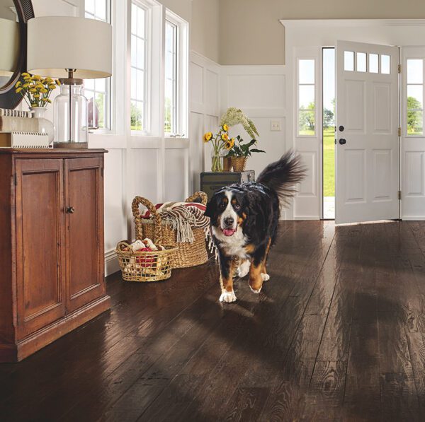 Our Guide to the Best Flooring for Pets