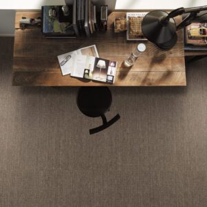 Carpet Carpeting